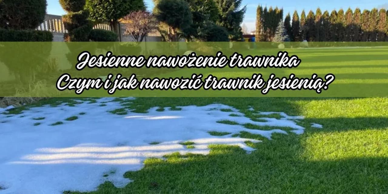 Kiedy nawóz do trawy? Najlepszy czas i sposób nawożenia trawnika
