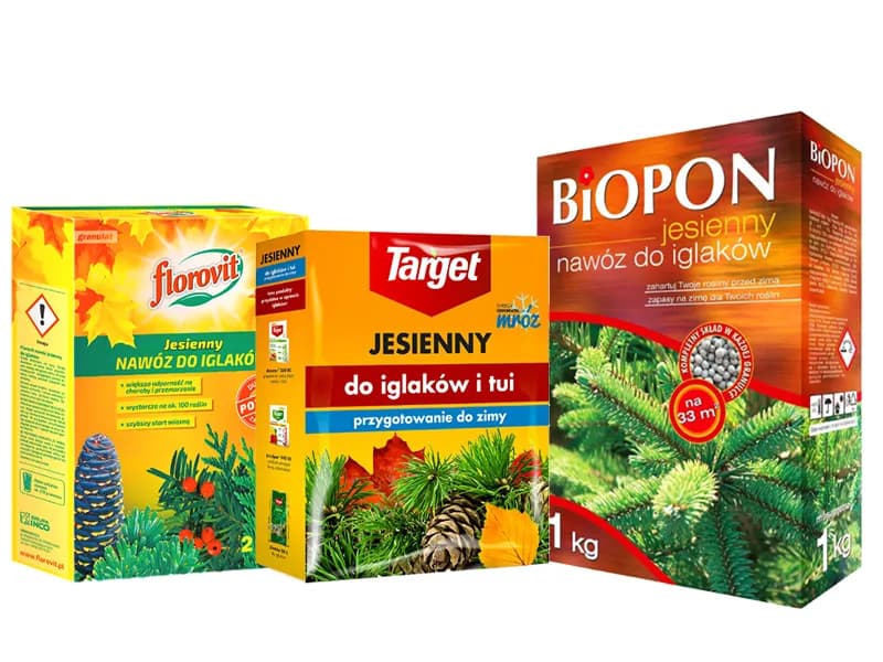 Jaki nawóz na zimę? Najlepsze wybory dla Twoich roślin