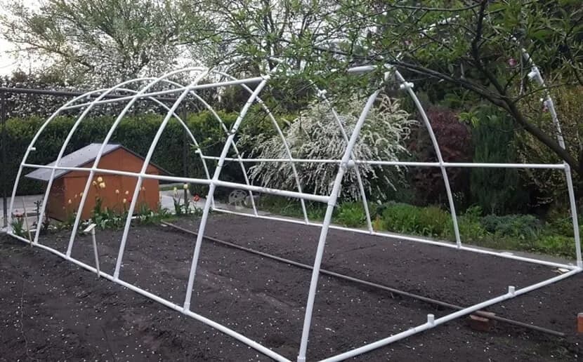 Jak zrobić folię ogrodową – prosty sposób na budowę tunelu foliowego