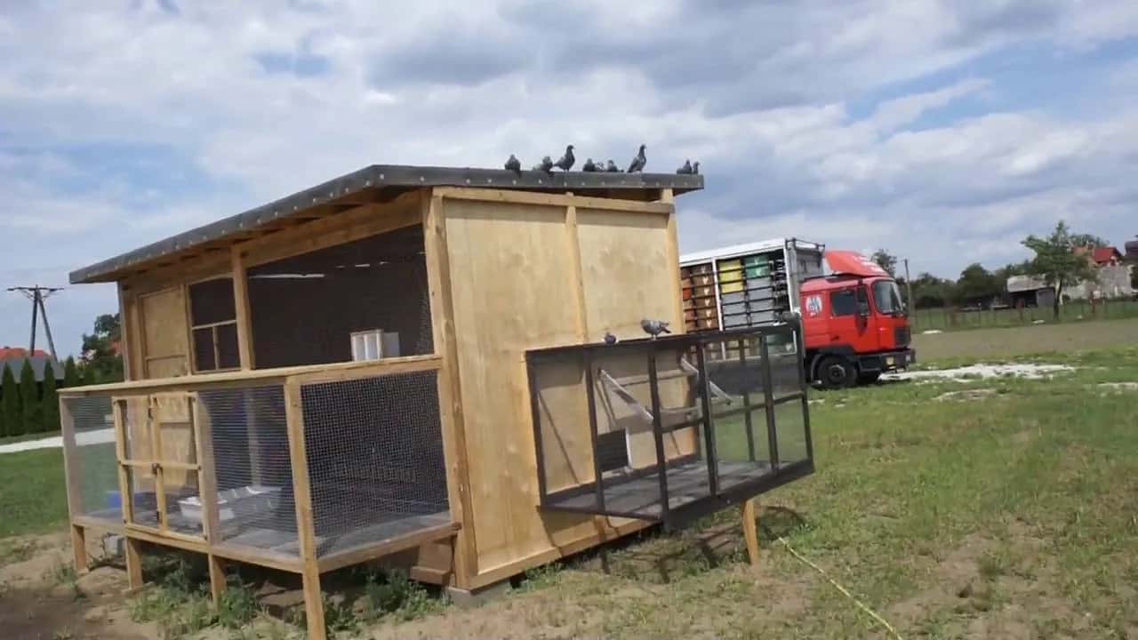 Jak zrobić gołębnik ogrodowy: 10 kroków do idealnego domku