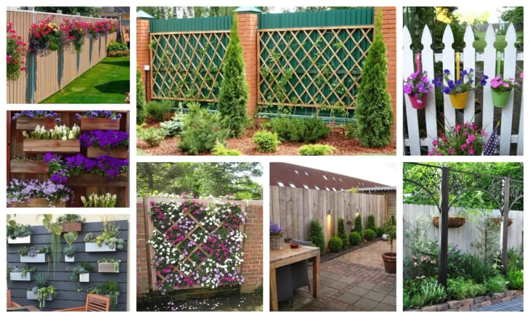 Jak ozdobić ścianę w ogrodzie: 10 kreatywnych pomysłów i porad