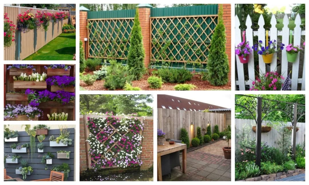 Jak ozdobić ścianę w ogrodzie: 10 kreatywnych pomysłów i porad