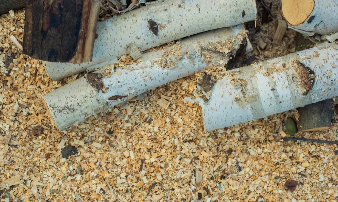 Czy trociny nadają się na kompost? Poznaj ich właściwości i zastosowanie