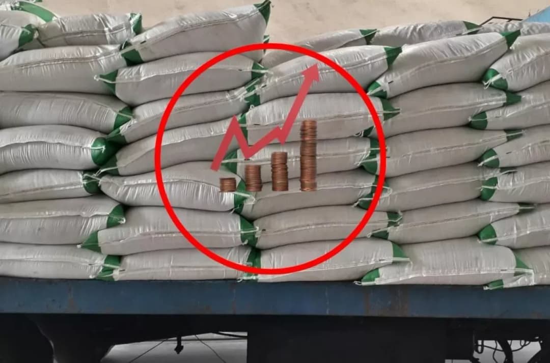 Ile kosztuje nawóz saletrzak? Ceny, które zaskoczą rolników w 2025 roku