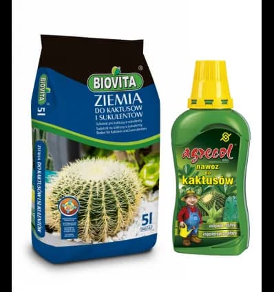 Jaki nawóz do kaktusów? Sekrety zdrowych roślin pustynnych